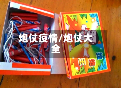 炮仗疫情/炮仗大全