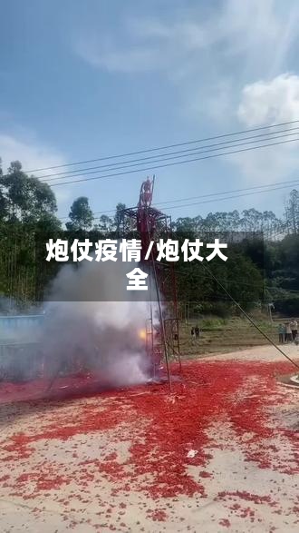炮仗疫情/炮仗大全-第2张图片