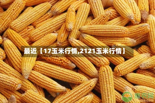 最近【17玉米行情,2121玉米行情】