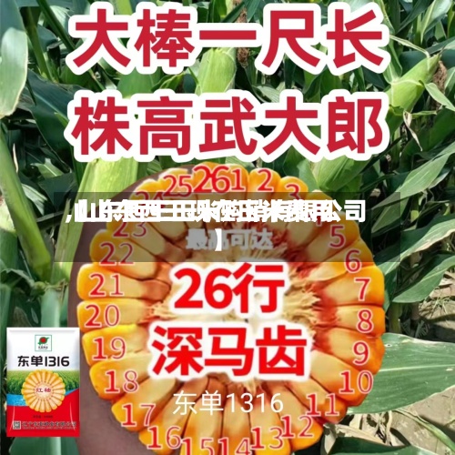 【山东西王现在玉米费用
,山东西王玉米购销有限公司】-第3张图片