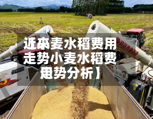 近来
【小麦水稻费用
走势小麦水稻费用
走势分析】