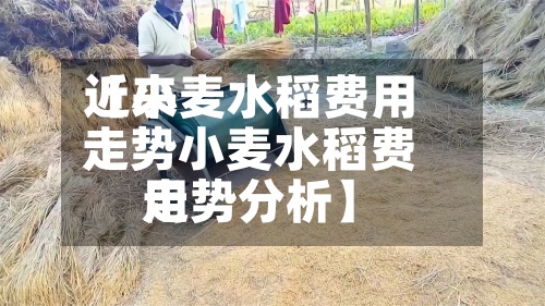 近来
【小麦水稻费用
走势小麦水稻费用
走势分析】-第2张图片