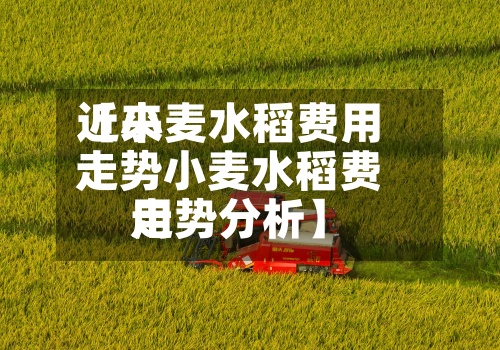 近来
【小麦水稻费用
走势小麦水稻费用
走势分析】-第3张图片
