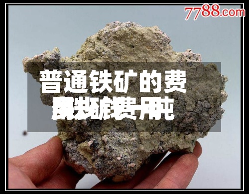 普通铁矿的费用/铁矿费用多少钱一吨-第2张图片