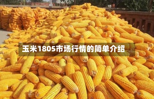 玉米1805市场行情的简单介绍