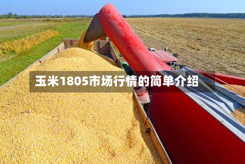 玉米1805市场行情的简单介绍-第3张图片