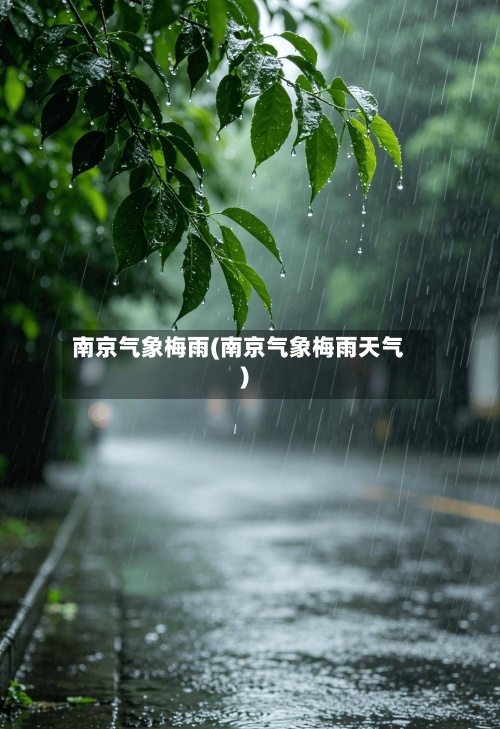 南京气象梅雨(南京气象梅雨天气)