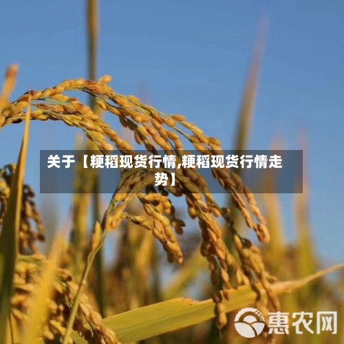 关于【粳稻现货行情,粳稻现货行情走势】-第3张图片