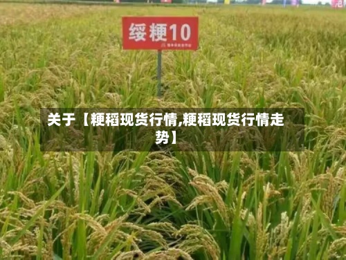 关于【粳稻现货行情,粳稻现货行情走势】