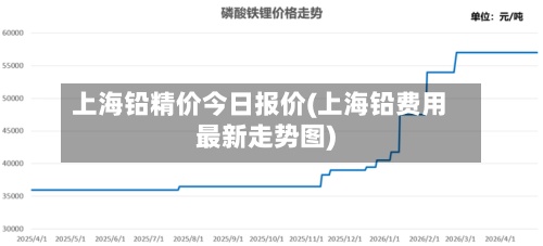 上海铅精价今日报价(上海铅费用
最新走势图)-第2张图片