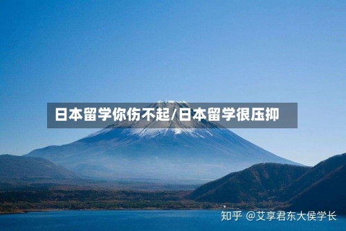 日本留学你伤不起/日本留学很压抑