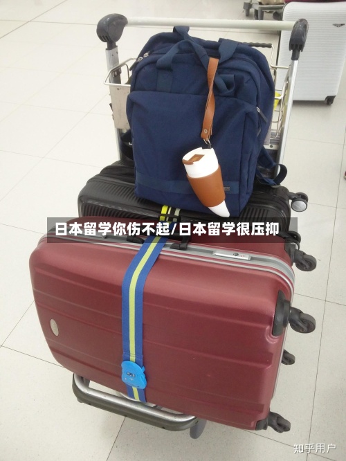 日本留学你伤不起/日本留学很压抑-第2张图片