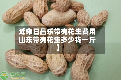 近来【今日昌乐带壳花生费用山东带壳花生多少钱一斤】
