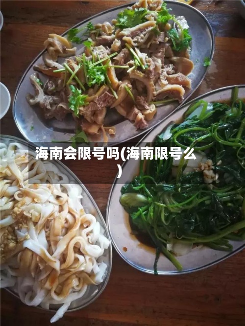 海南会限号吗(海南限号么)-第2张图片