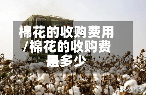 棉花的收购费用
/棉花的收购费用
是多少
