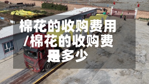 棉花的收购费用
/棉花的收购费用
是多少-第2张图片