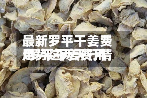 最新罗平干姜费用
/罗平干姜费用
走势这两天行情-第2张图片