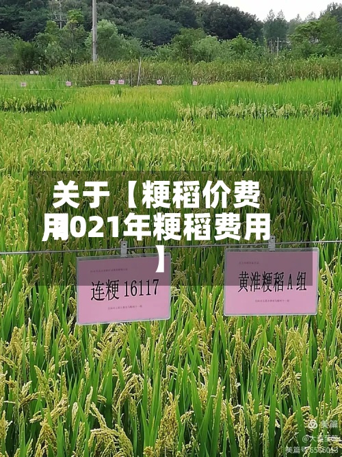 关于【粳稻价费用
,2021年粳稻费用
】