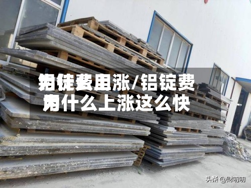 铝锭费用
为什么上涨/铝锭费用
为什么上涨这么快