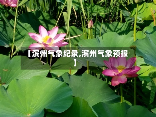 【滨州气象纪录,滨州气象预报】