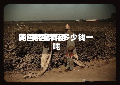 美国棉花费用
吨/美国棉花多少钱一吨