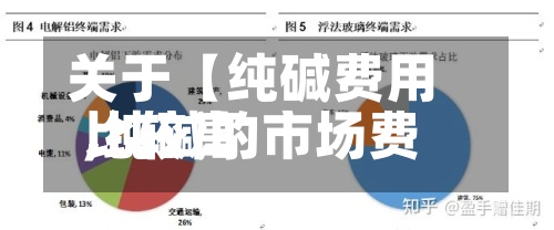 关于【纯碱费用比较高,纯碱的市场费用】-第2张图片