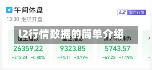 l2行情数据的简单介绍