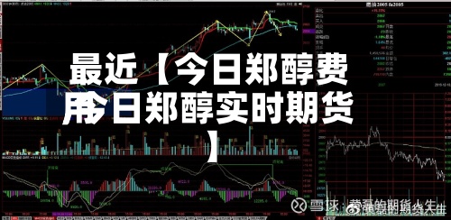 最近【今日郑醇费用
,今日郑醇实时期货】