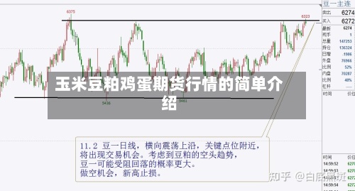 玉米豆粕鸡蛋期货行情的简单介绍-第2张图片