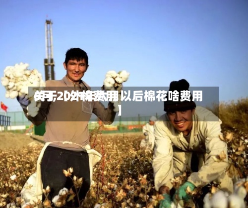 关于【外棉费用
6月,2021年六月以后棉花啥费用
】-第2张图片