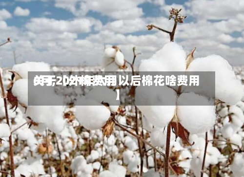 关于【外棉费用
6月,2021年六月以后棉花啥费用
】