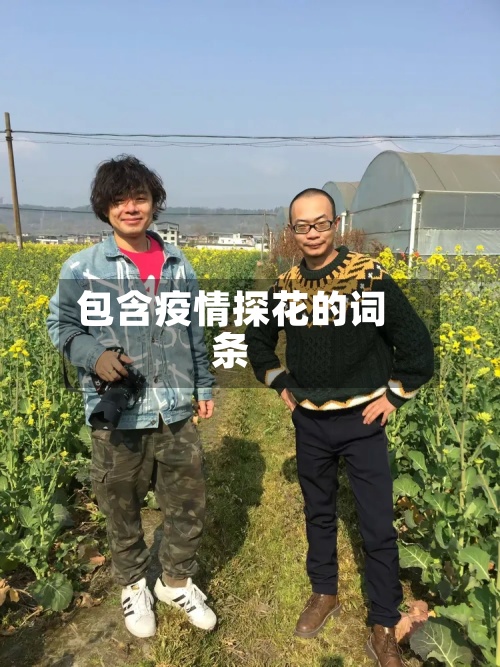 包含疫情探花的词条