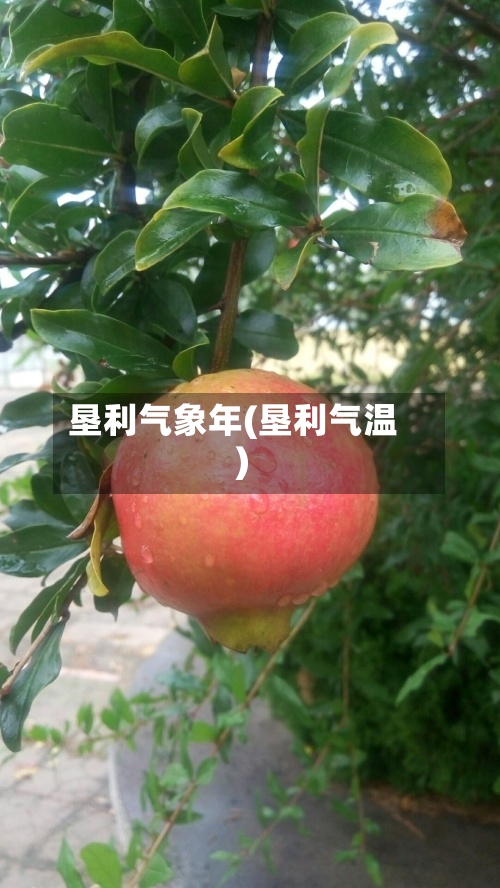 垦利气象年(垦利气温)-第2张图片
