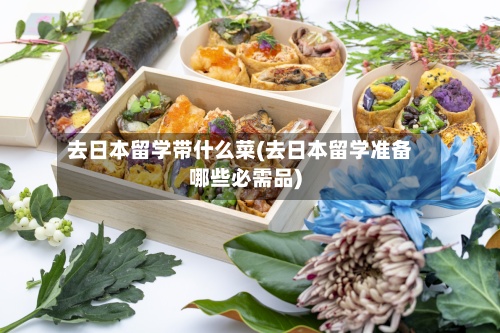 去日本留学带什么菜(去日本留学准备哪些必需品)-第2张图片