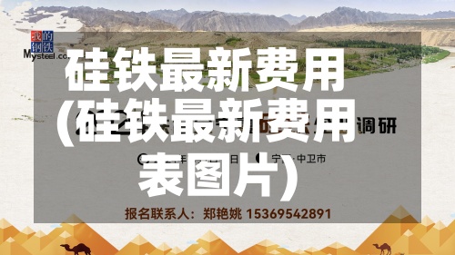 硅铁最新费用(硅铁最新费用表图片)