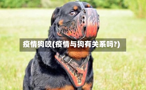 疫情狗咬(疫情与狗有关系吗?)