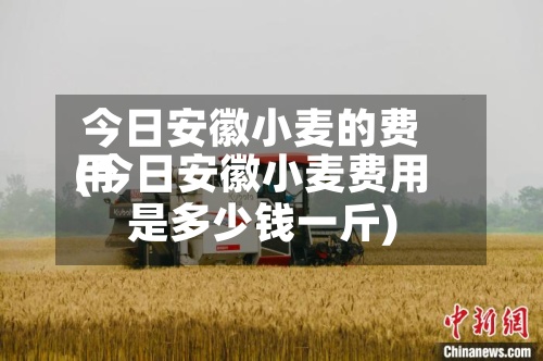 今日安徽小麦的费用(今日安徽小麦费用是多少钱一斤)