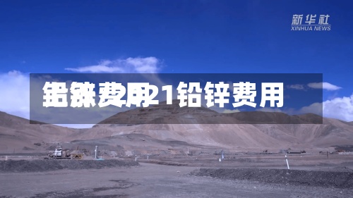 铅锌费用
上涨/2021铅锌费用
-第2张图片
