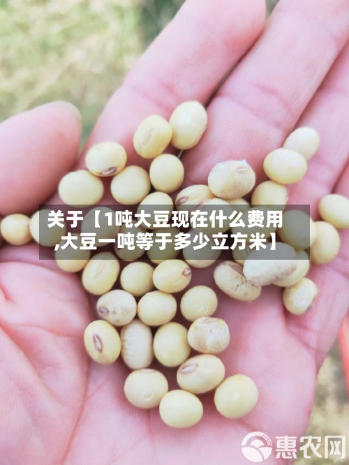 关于【1吨大豆现在什么费用,大豆一吨等于多少立方米】-第2张图片