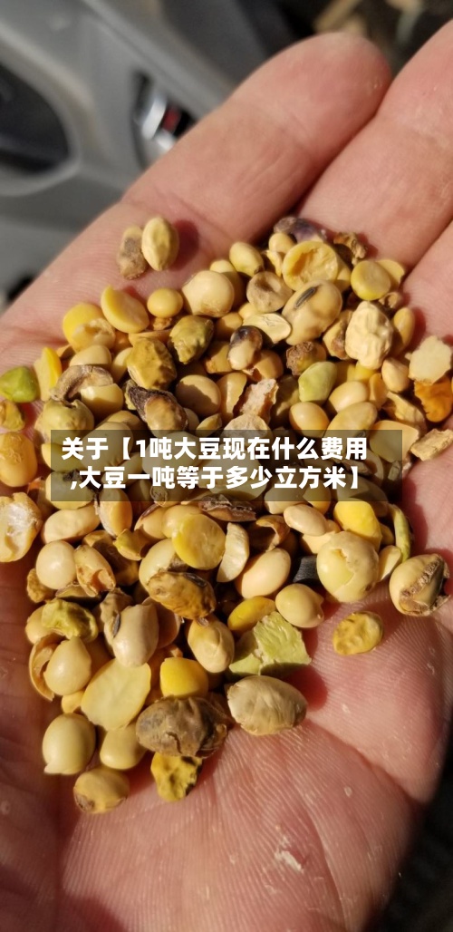 关于【1吨大豆现在什么费用,大豆一吨等于多少立方米】-第3张图片