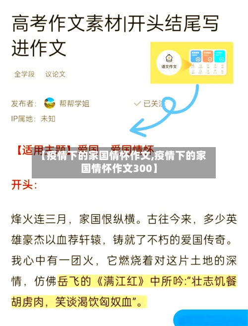 【疫情下的家国情怀作文,疫情下的家国情怀作文300】-第2张图片