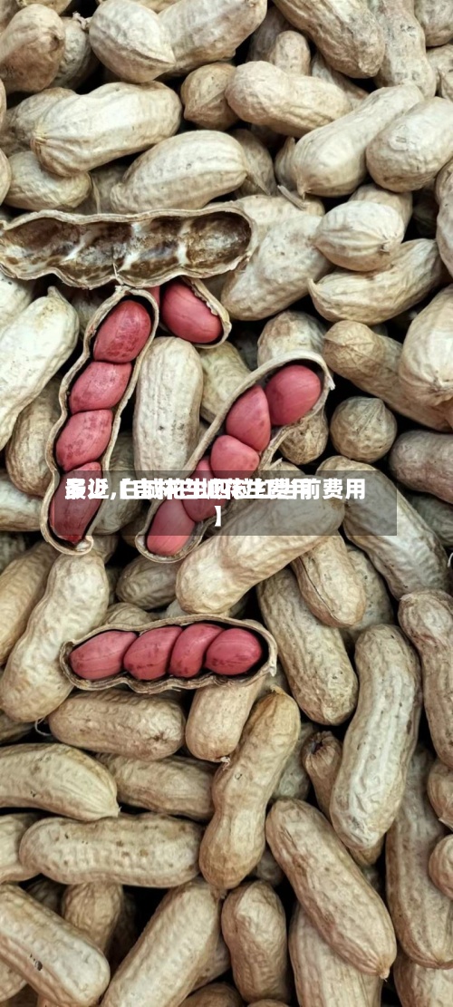 最近【吉林白城花生费用多少,白城花生四粒红当前费用】