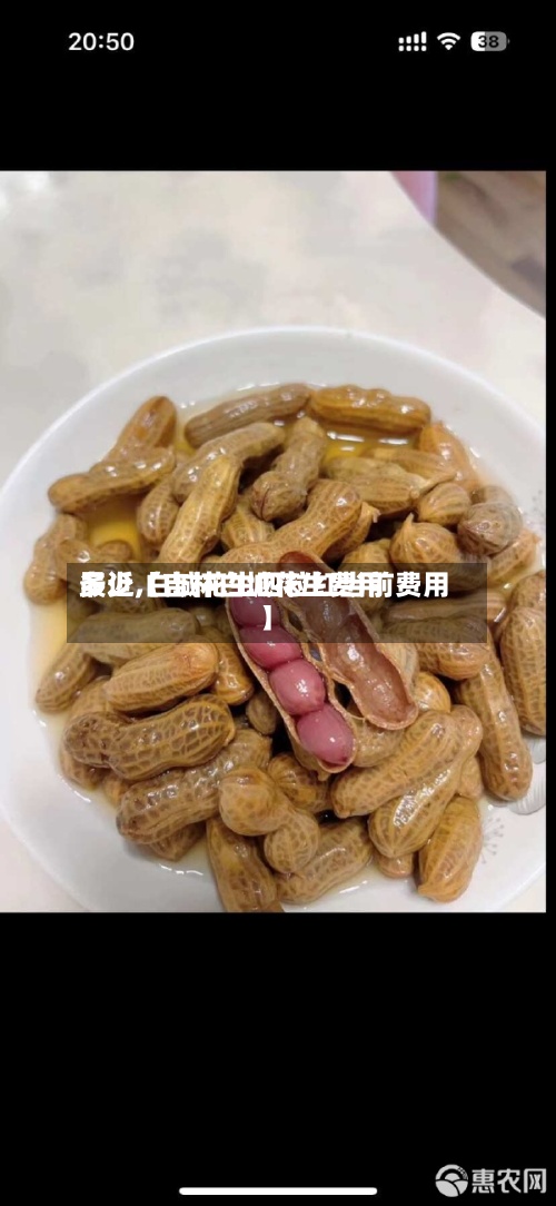 最近【吉林白城花生费用
多少,白城花生四粒红当前费用
】-第3张图片