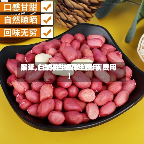 最近【吉林白城花生费用
多少,白城花生四粒红当前费用
】-第2张图片
