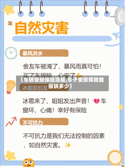 【车辆受损保险流程,车子受损保险能报销多少】