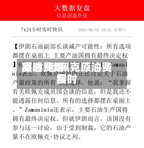 原油费用
实时/欧佩克原油费用
实时
