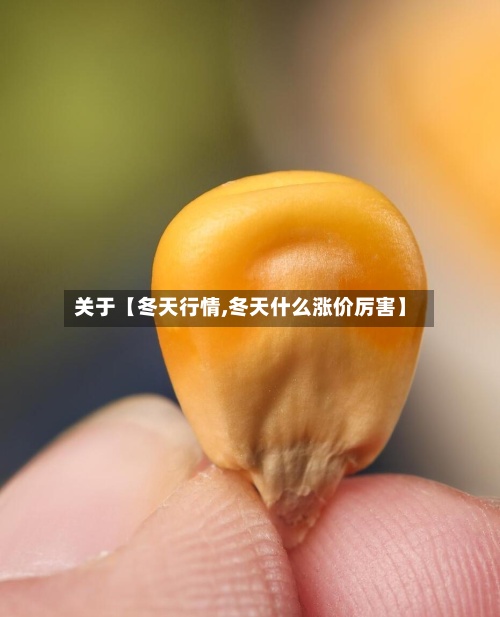 关于【冬天行情,冬天什么涨价厉害】-第2张图片