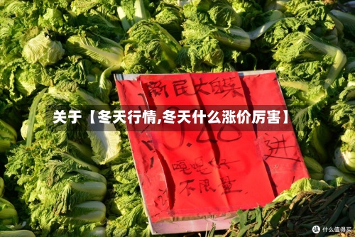 关于【冬天行情,冬天什么涨价厉害】