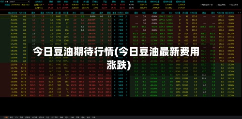 今日豆油期待行情(今日豆油最新费用涨跌)-第3张图片