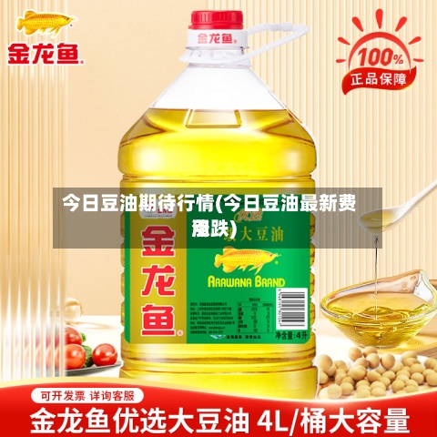 今日豆油期待行情(今日豆油最新费用涨跌)-第2张图片